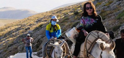 nemrud horse