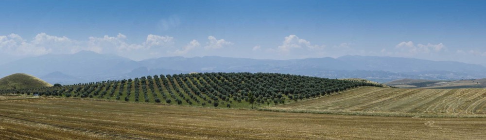west anatolia