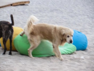 oludeniz7