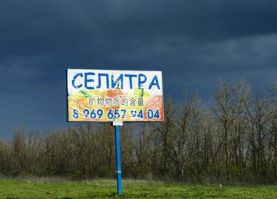 tovolgograd3