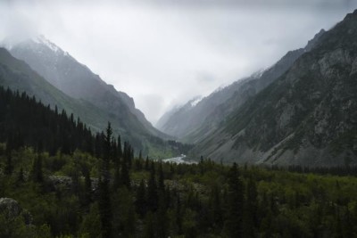 alaarcha7