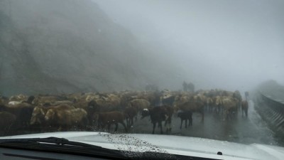 tobishkek6