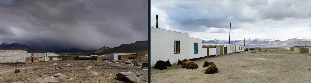 karakul01