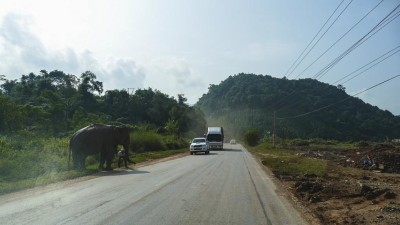 toluangnamtha1