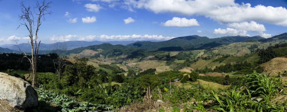 tochiangkhong1
