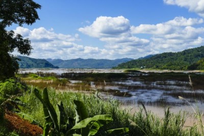 toloei2