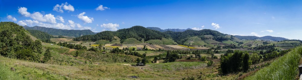 tomaesariang1