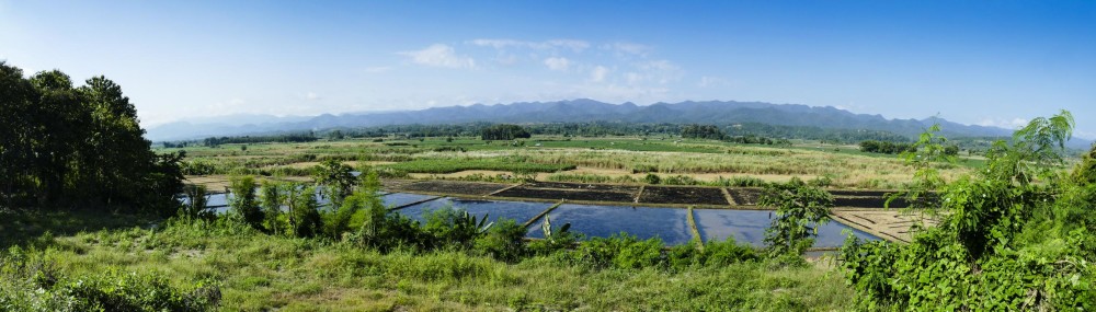 tomaesot1